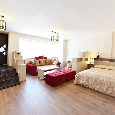 Absolutivila Palanga